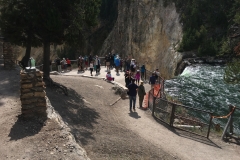 yellowstone- - 61