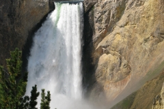 yellowstone- - 63