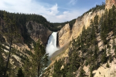 yellowstone- - 64