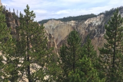 yellowstone- - 66