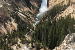 yellowstone- - 67