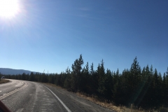yellowstone- - 7