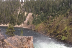 yellowstone- - 71