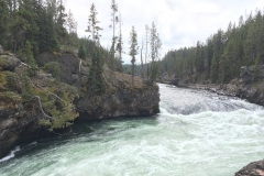 yellowstone- - 73