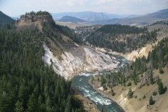 yellowstone- - 77