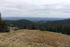 yellowstone- - 80