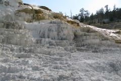 yellowstone- - 83