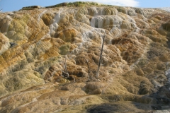 yellowstone- - 85