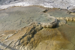 yellowstone- - 87