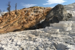 yellowstone- - 89