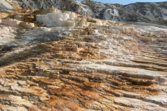 yellowstone- - 90