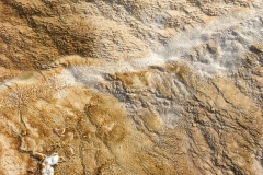 yellowstone- - 91