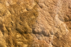 yellowstone- - 92