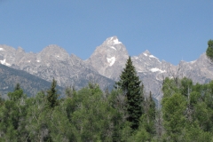 yellowstone- - 94