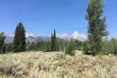 yellowstone- - 96