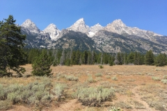 yellowstone- - 97