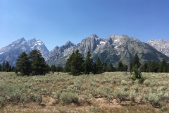yellowstone- - 98