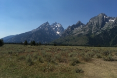 yellowstone- - 99